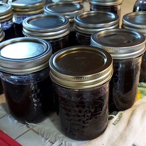 jars of jam | Jeanne's Stuff